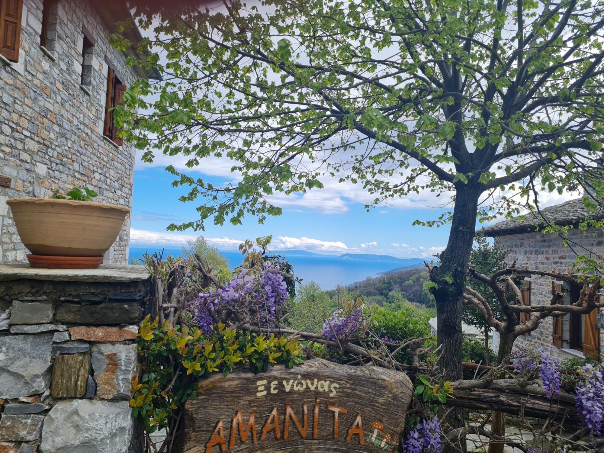 Amanita Boutique Hotel Цагарада Экстерьер фото